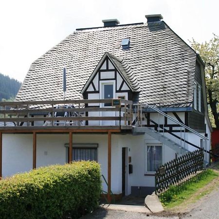 Cosy Apartment In Schwalefeld Near Willingen With Private Terrace Екстер'єр фото