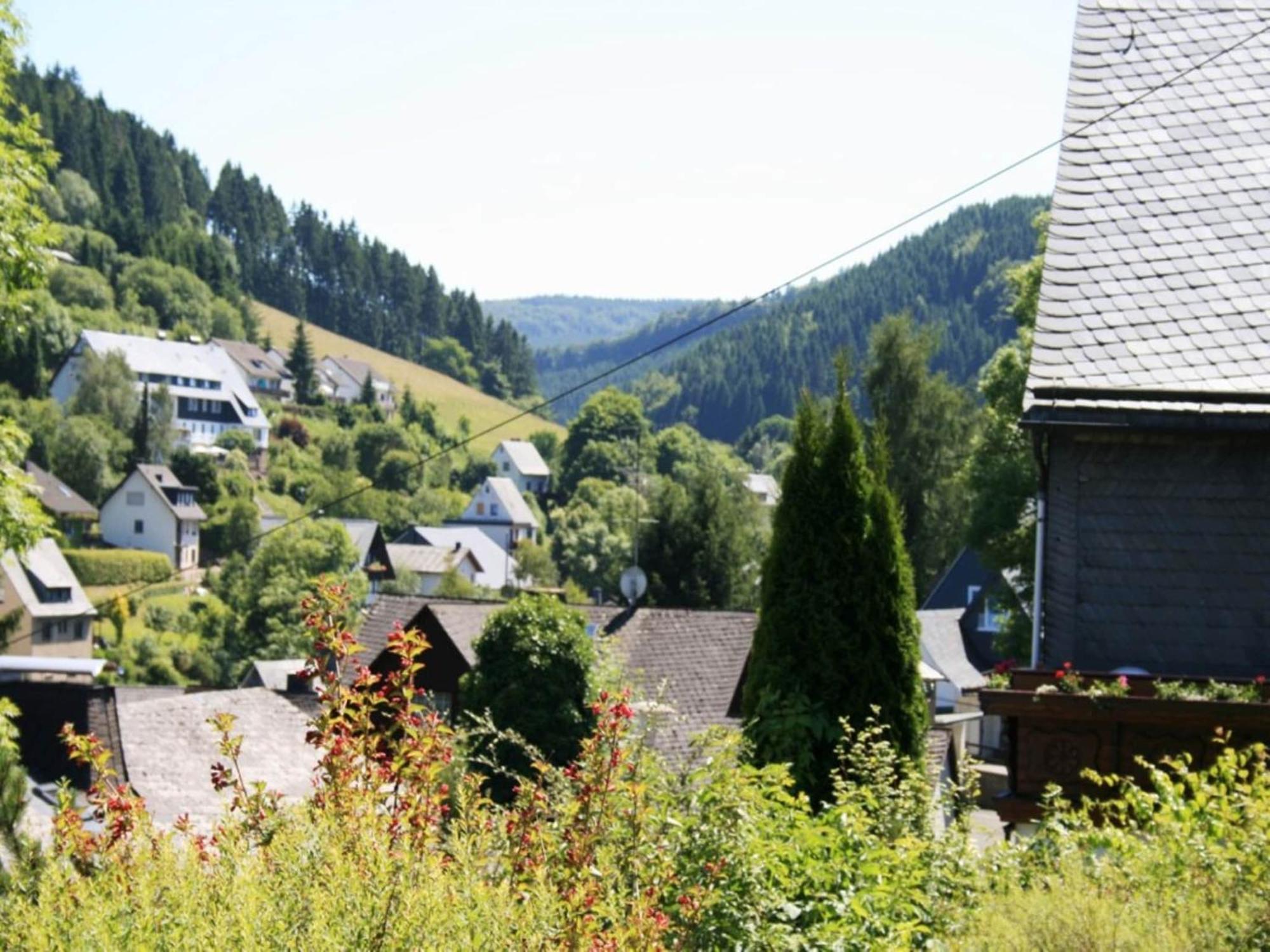 Cosy Apartment In Schwalefeld Near Willingen With Private Terrace Екстер'єр фото