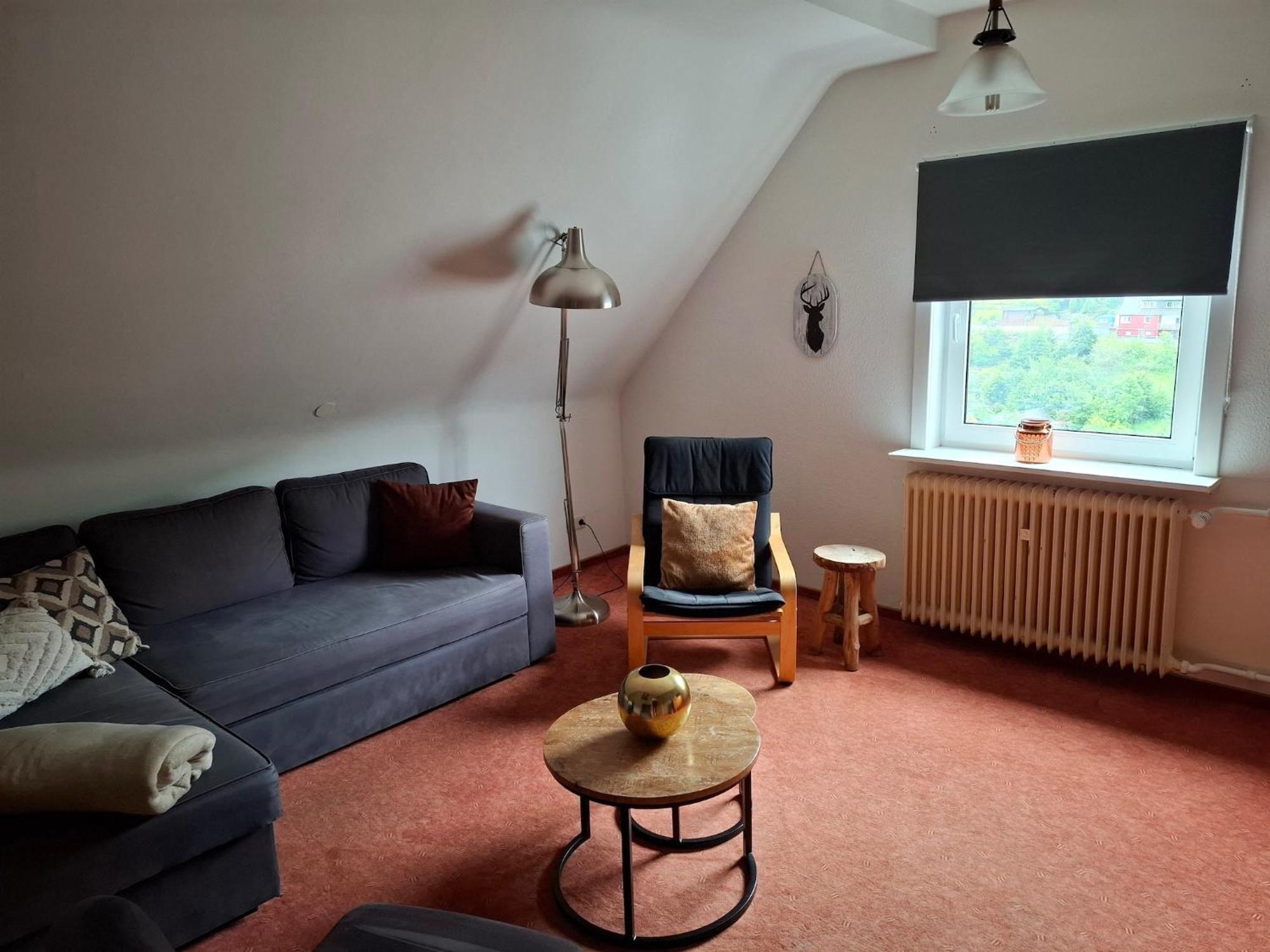 Cosy Apartment In Schwalefeld Near Willingen With Private Terrace Екстер'єр фото